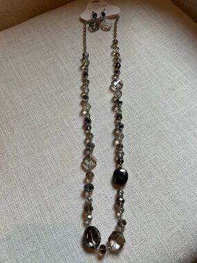 Faceted Smoky Bead Long Necklace and Earring Set - Gray